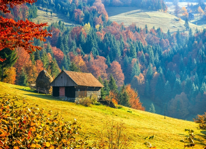 Carpathians in fall