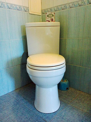 Мини-отель посуточно в Синяке, с. Синяк, 69