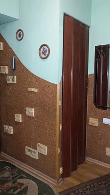 Однокомнатная квартира посуточно в Львове, Шевченковский район, ул. Петра Панча, 13